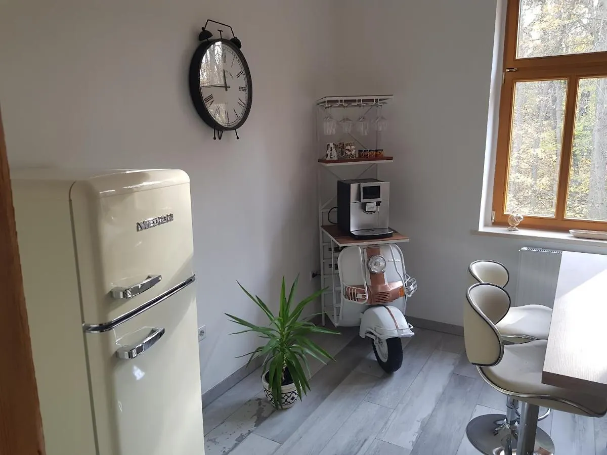 Domizil Adler Daire Dresden